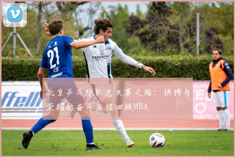 北京乒乓球队总决赛之路：拼搏与荣耀的奋斗历程回顾MBA