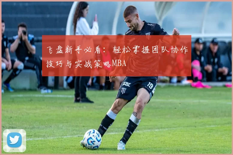 飞盘新手必看：轻松掌握团队协作技巧与实战策略MBA