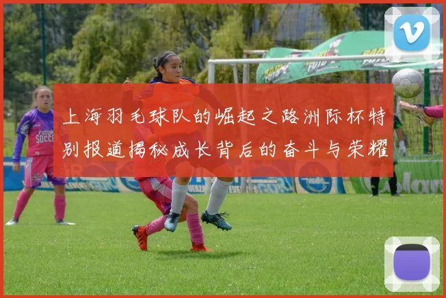 上海羽毛球队的崛起之路洲际杯特别报道揭秘成长背后的奋斗与荣耀