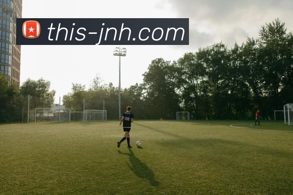 今年会体育发展历程